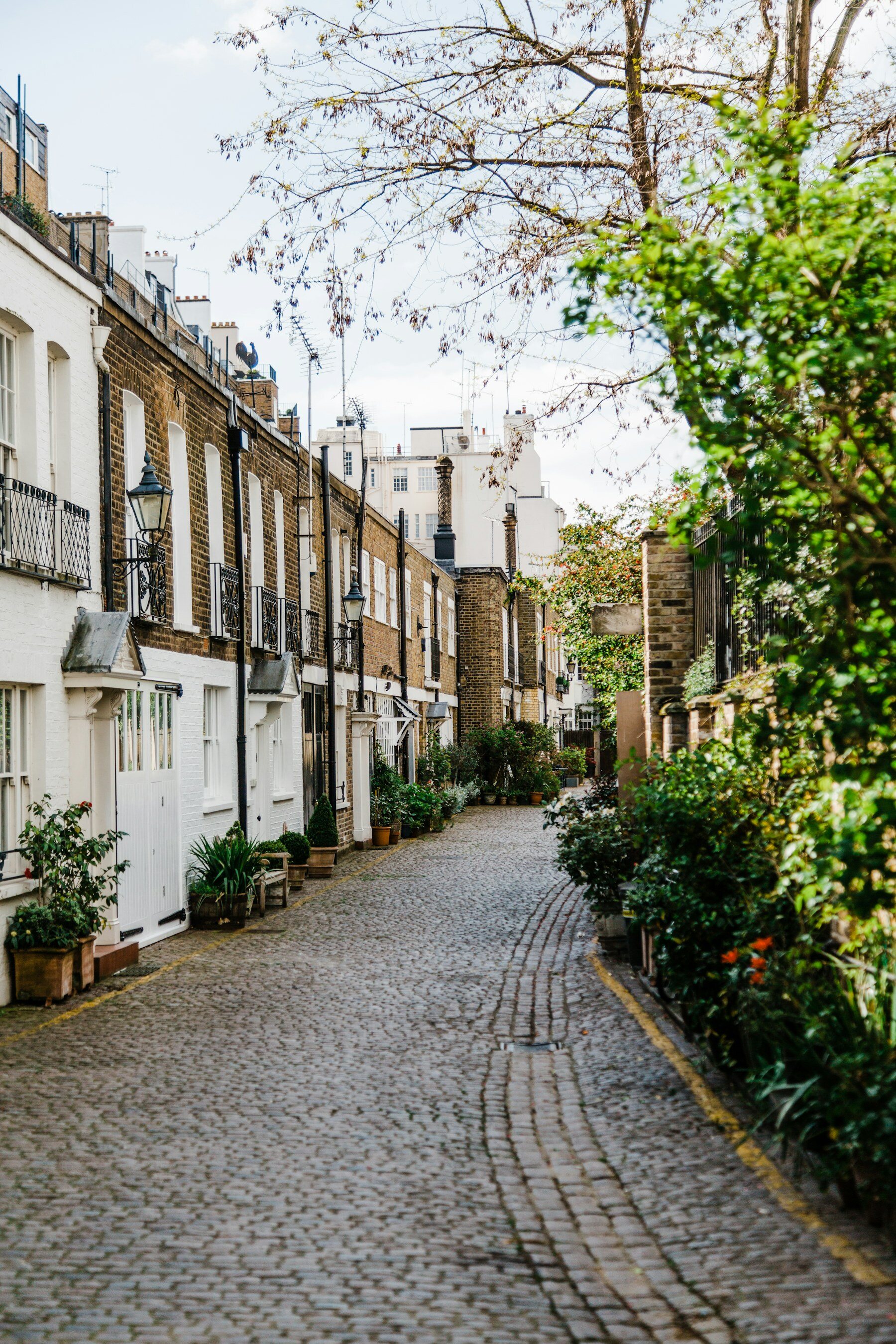 A quiet cobbled residential street lined with period homes